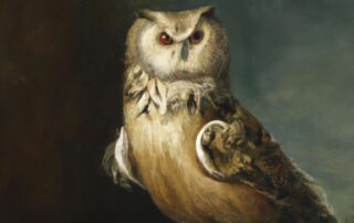 DALL·E an owl 17th century style painting